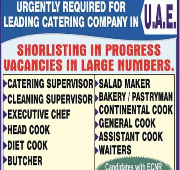 cook-jobs-in-uae