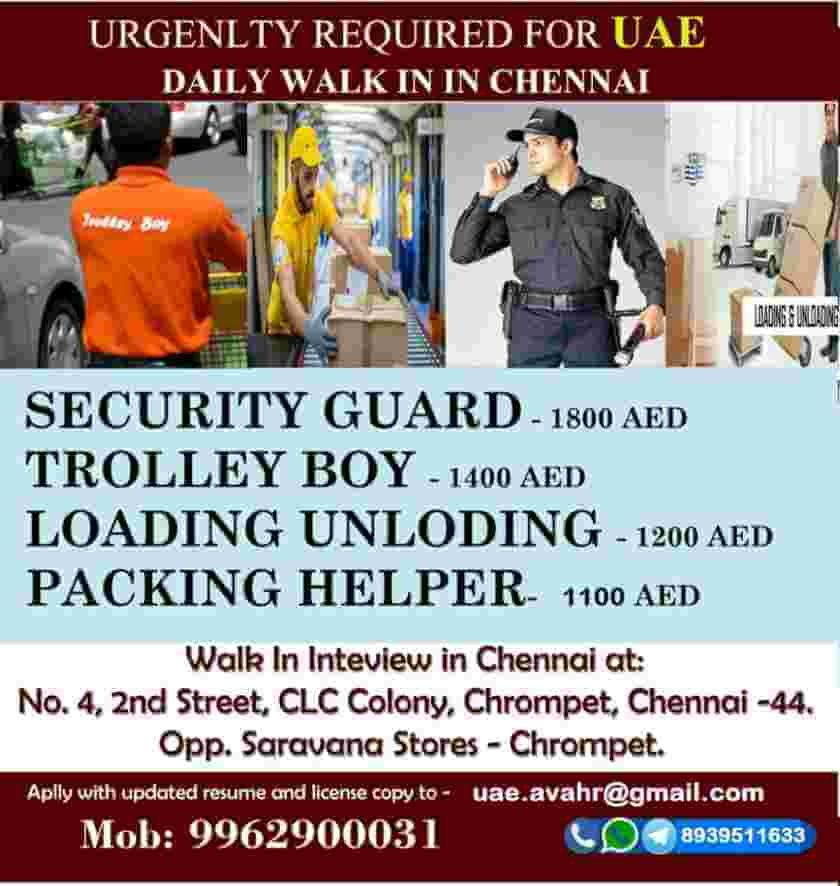 assignment-abroad-times