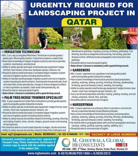 m-gheewala-jobs
