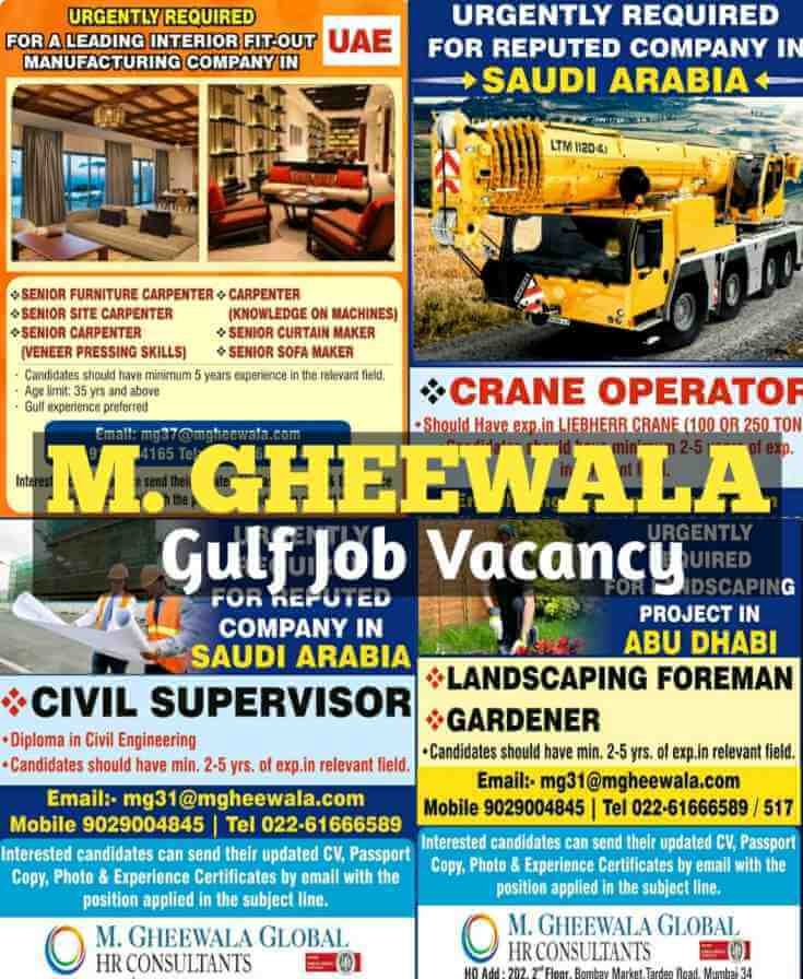 m-gheewala-jobs